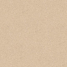 Ковролин Radici Abetone Polvere 4838 фото 1 | FLOORDEALER